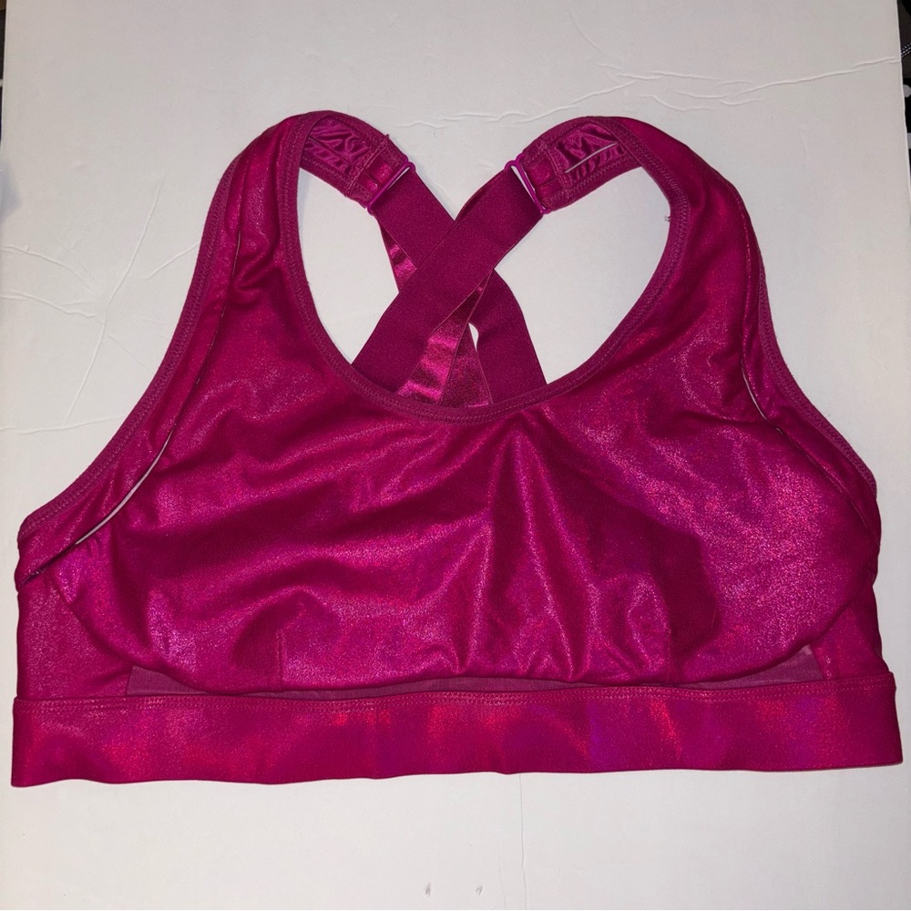 Fabletics Hot Pink Sports Bra Size 2X High Support